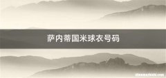 萨内蒂国米球衣号码
