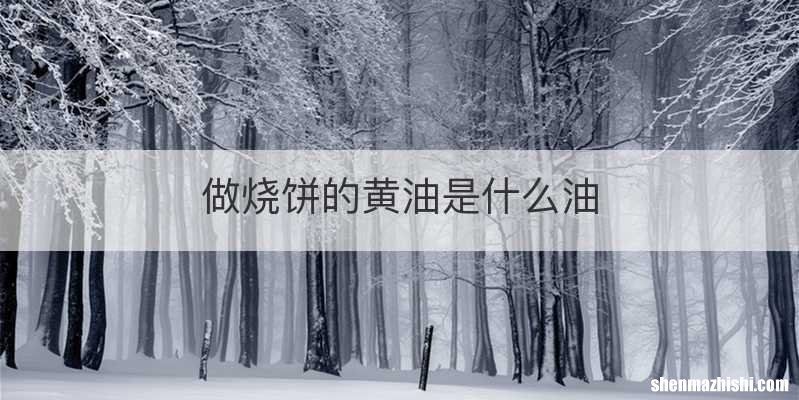 做烧饼的黄油是什么油