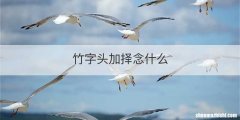 竹字头加择念什么