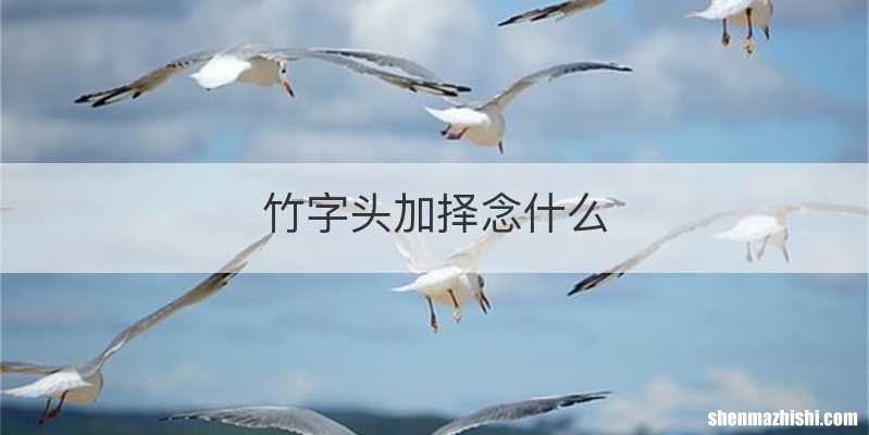 竹字头加择念什么