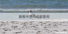 新股中签几点能查询