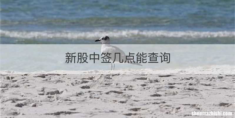 新股中签几点能查询