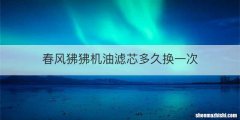 春风狒狒机油滤芯多久换一次