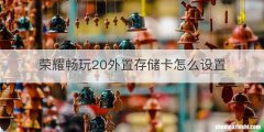 荣耀畅玩20外置存储卡怎么设置