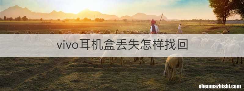 vivo耳机盒丢失怎样找回