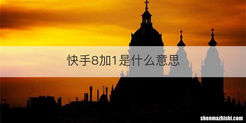 快手8加1是什么意思