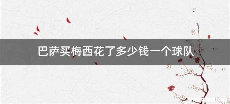 巴萨买梅西花了多少钱一个球队