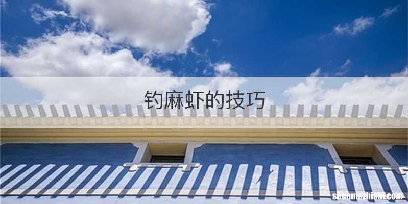 钓麻虾的技巧