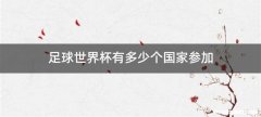 足球世界杯有多少个国家参加
