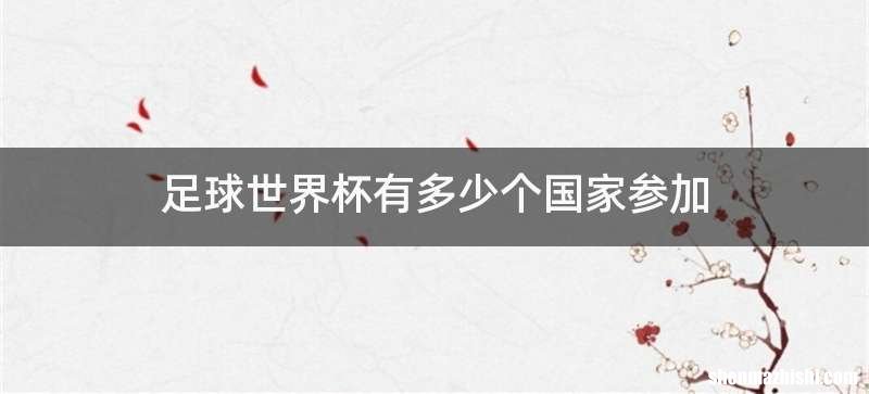 足球世界杯有多少个国家参加