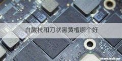 白酸枝和刀状黑黄檀哪个好