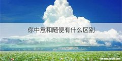 你中意和随便有什么区别