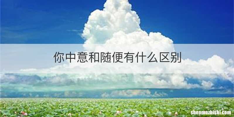 你中意和随便有什么区别