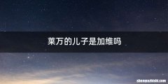 莱万的儿子是加维吗