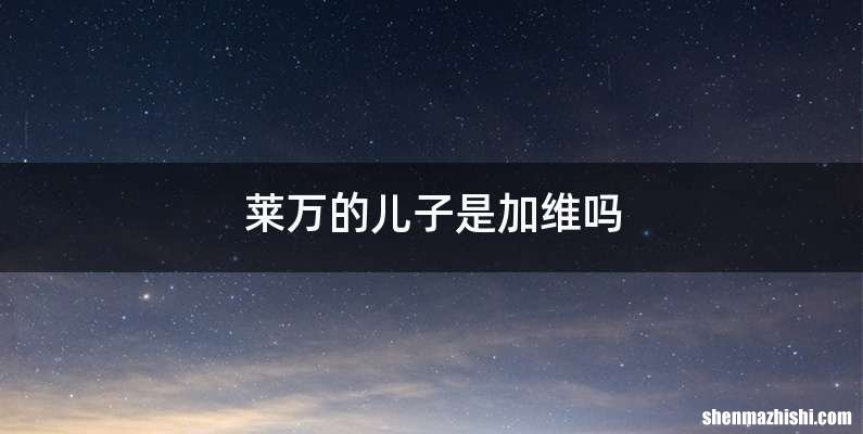 莱万的儿子是加维吗
