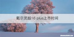 戴尔灵越16 plus上市时间