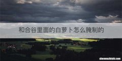 和合谷里面的白萝卜怎么腌制的