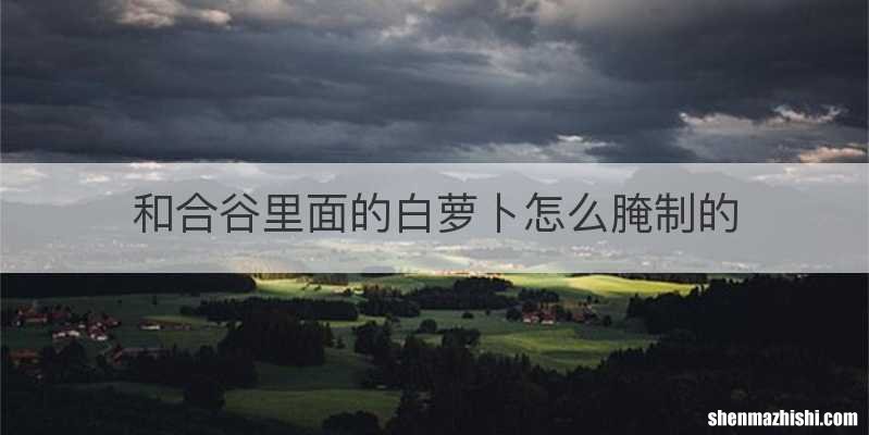 和合谷里面的白萝卜怎么腌制的