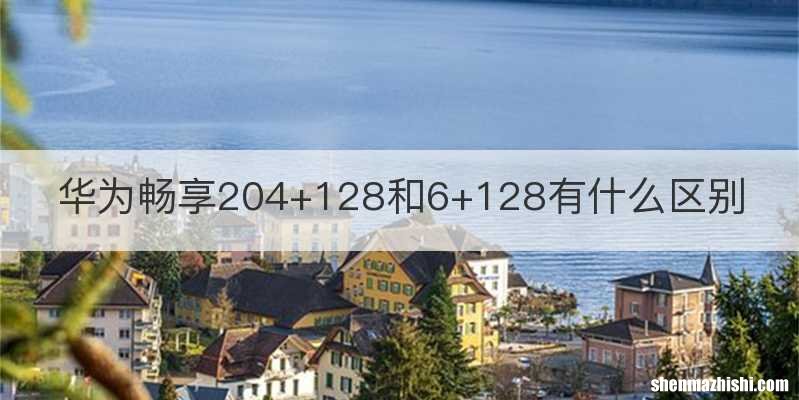 华为畅享204+128和6+128有什么区别