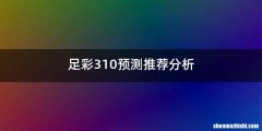 足彩310预测推荐分析