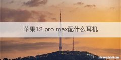 苹果12 pro max配什么耳机