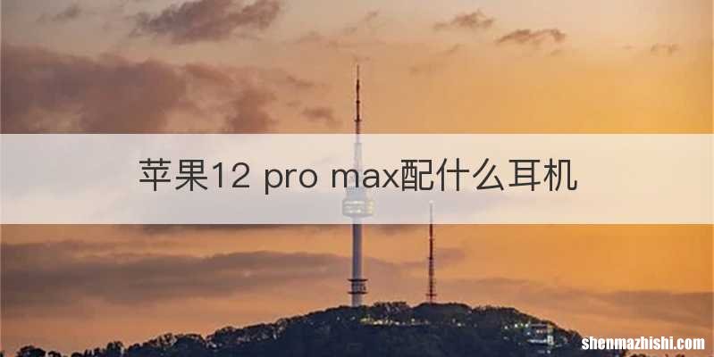苹果12 pro max配什么耳机