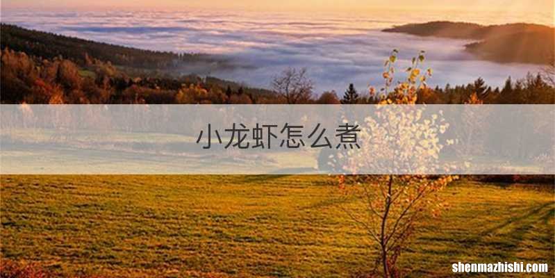 小龙虾怎么煮