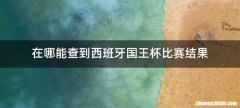 在哪能查到西班牙国王杯比赛结果