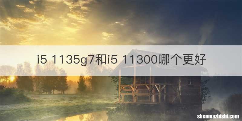 i5 1135g7和i5 11300哪个更好