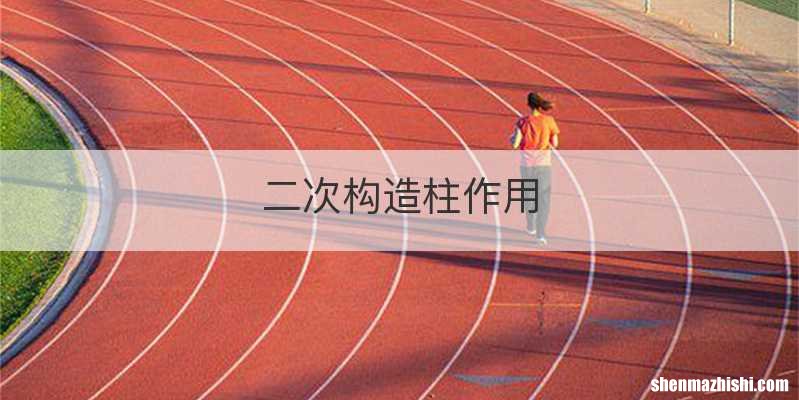 二次构造柱作用
