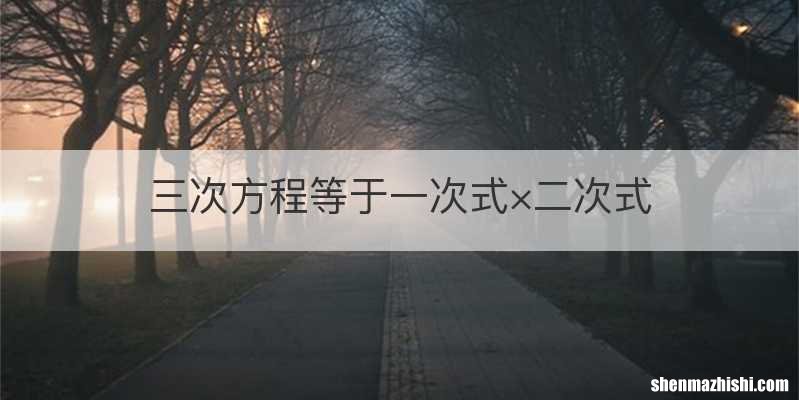 三次方程等于一次式×二次式