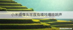 小米摄像头半夜有嘎吱嘎吱响声