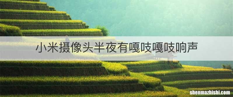 小米摄像头半夜有嘎吱嘎吱响声