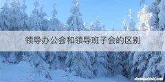 领导办公会和领导班子会的区别