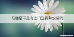 马桶是不是有上门送货并安装的