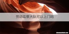 劳动监察大队可以上门吗