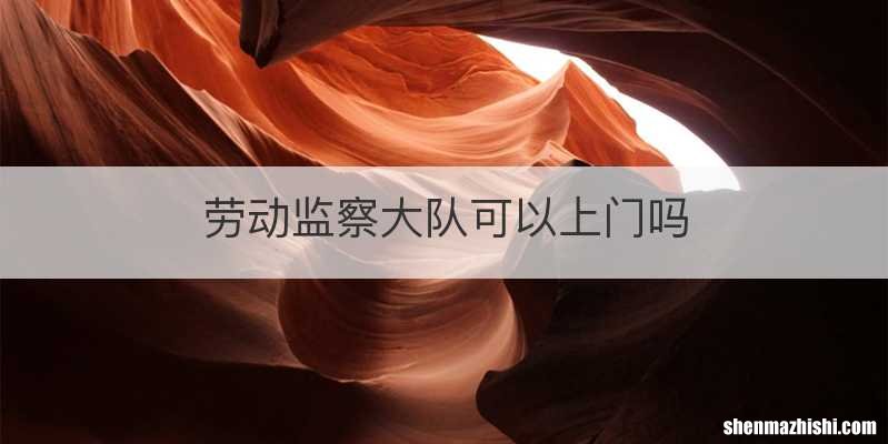 劳动监察大队可以上门吗