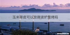 玉米带皮可以放微波炉里烤吗