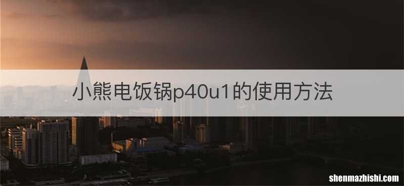 小熊电饭锅p40u1的使用方法