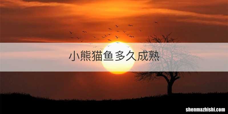 小熊猫鱼多久成熟