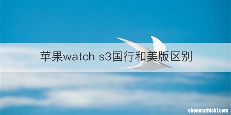 苹果watch s3国行和美版区别