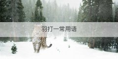 羽打一常用语