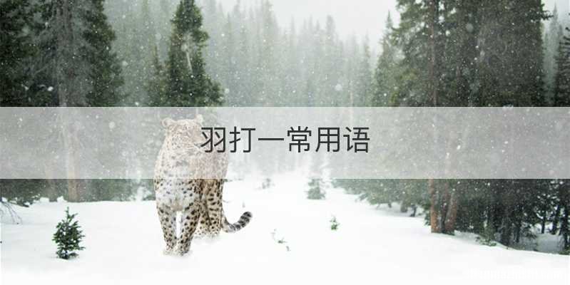 羽打一常用语