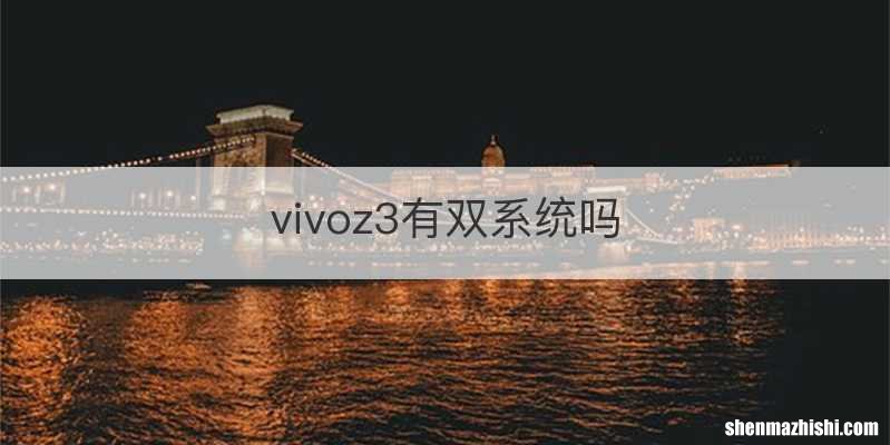 vivoz3有双系统吗