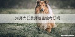 河师大公费师范生能考研吗