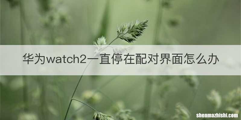 华为watch2一直停在配对界面怎么办