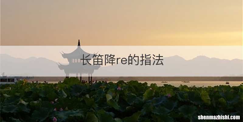 长笛降re的指法