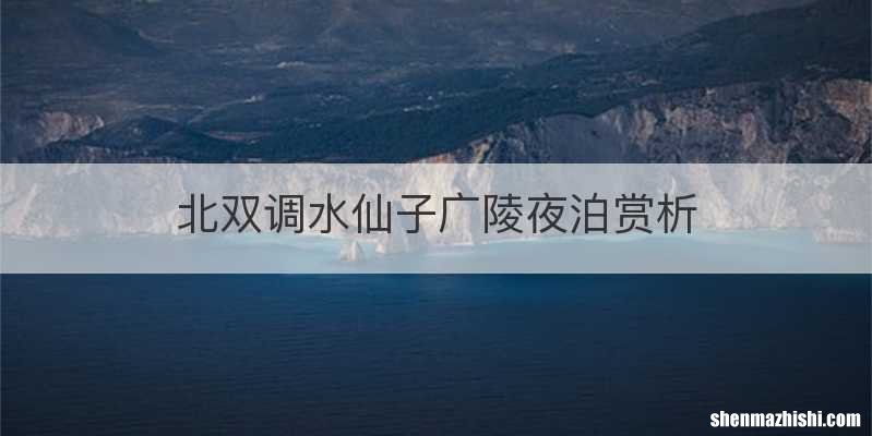 北双调水仙子广陵夜泊赏析
