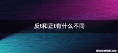 反t和正t有什么不同