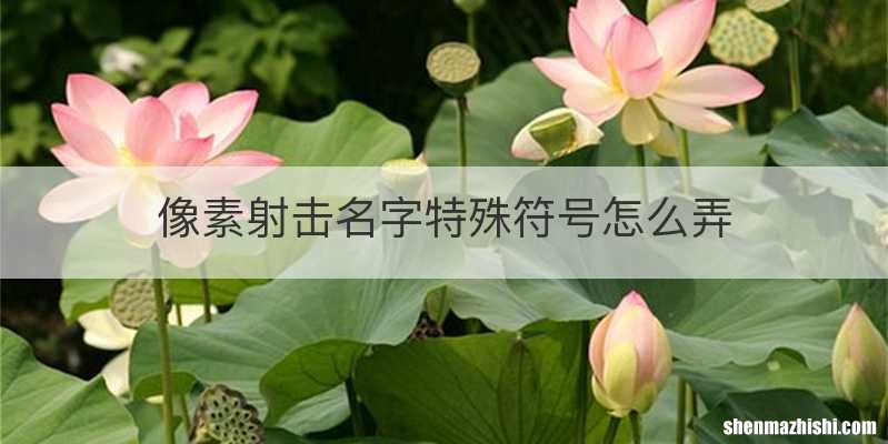 像素射击名字特殊符号怎么弄